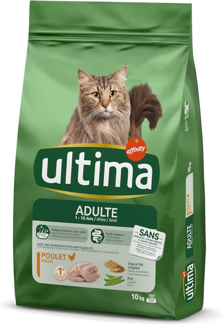 Alimento para gatos