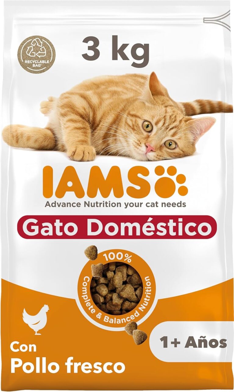 Alimento para gatos