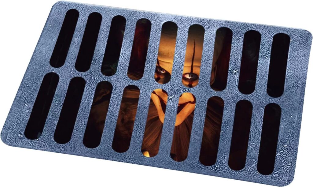 Comparativa de felpudos para entradas