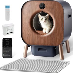 Caja ideal para gatos exigentes