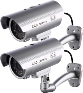 61lD1r5tSjL._AC_SL1157_