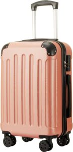 81OTsU2X+FL._AC_SX569_